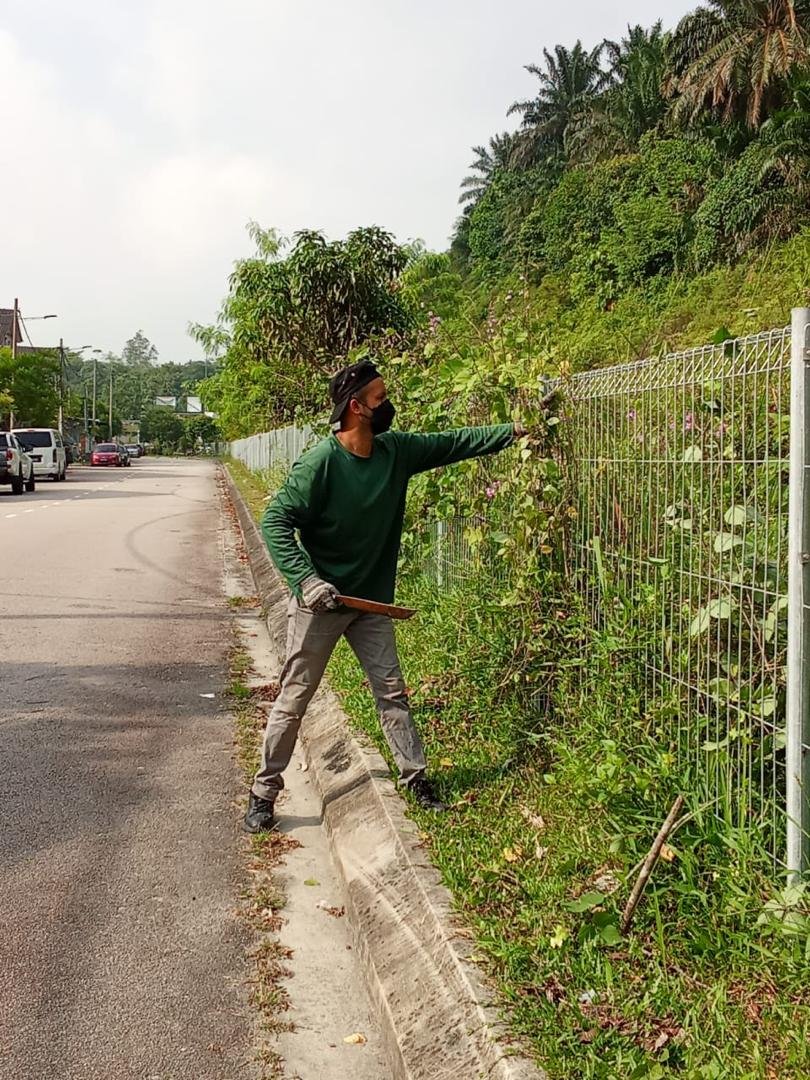 WhatsApp Image 2026-01-10 at 11.09.53